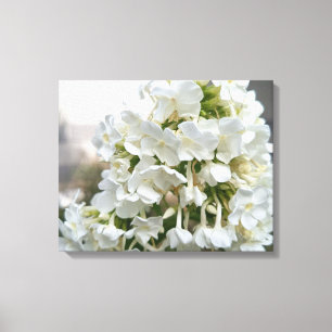 Elegante witte Hydrangea bloemschildering op canva Canvas Afdruk
