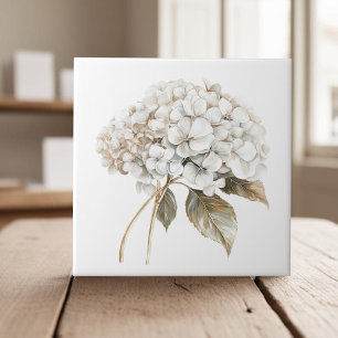 Elegante witte ivoren hortensia frans land tegeltje
