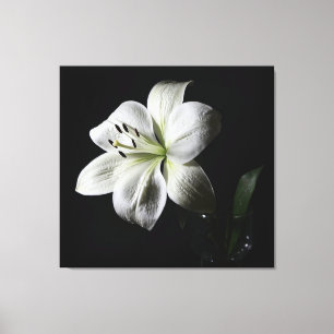 Elegante witte lelie verpakte canvas print