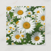 Elegante witte madeliefjes witte bloemenvelden QR Informatiekaartje (Achterkant)