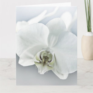 Elegante Witte Orchidee Botanische Kunst Kaart