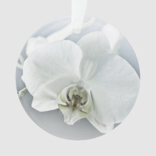 Elegante Witte Orchidee Botanische Kunst Ornament