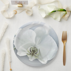Elegante Witte Orchidee Botanische Kunst Papieren Bordje