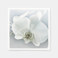 Elegante Witte Orchidee Botanische Kunst