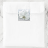 Elegante Witte Orchidee Botanische Kunst Vierkante Sticker (Tas)