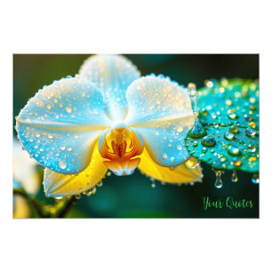 Elegante Witte Orchidee met Waterdruppels Botanisc Foto Afdruk