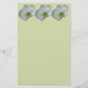Elegante witte orchideeënbloem botanisch briefpapier