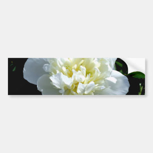 Elegante witte pioen bloemenwitte bloem foto bumpersticker