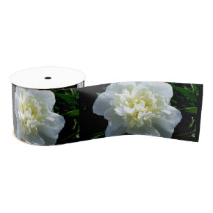 Elegante witte pioen bloemenwitte bloem foto grosgrain lint