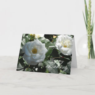 Elegante Witte Roos Verjaardag Kaart