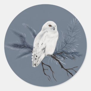 Elegante witte Uil op Holly Limb Ronde Sticker