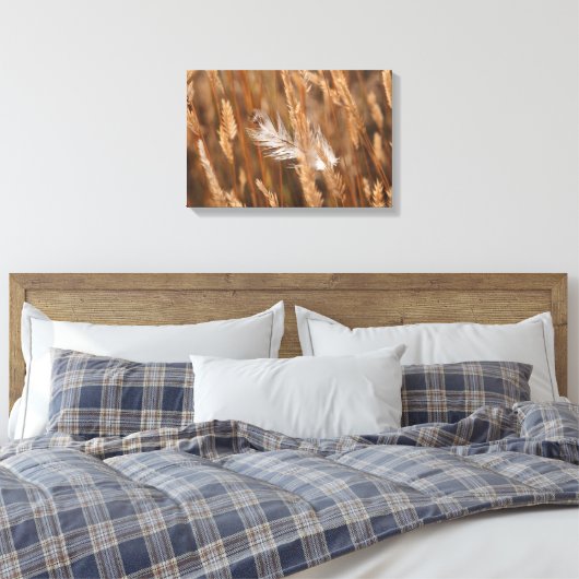 Elegante witte veer in gouden weide gras canvas afdruk (Insitu (Slaapkamer))