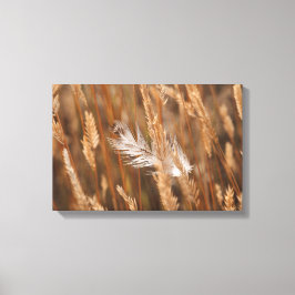 Elegante witte veer in gouden weide gras canvas afdruk