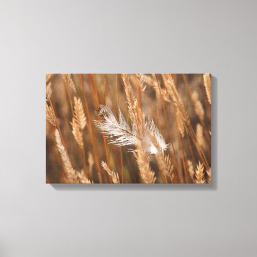 Elegante witte veer in gouden weide gras canvas afdruk (Voorkant)