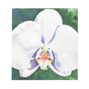 Elegante witte waterverf orchidee notitieblok