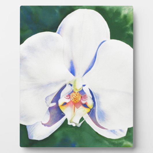 Elegante witte waterverf orchidee schilderij fotoplaat (Voorkant)