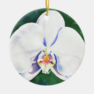 Elegante witte waterverf orchidee schilderij keramisch ornament