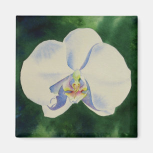Elegante witte waterverf orchidee schilderij magneet