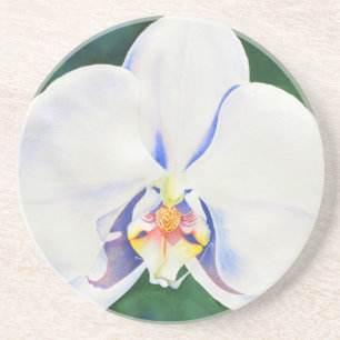 Elegante witte waterverf orchidee zandsteen onderzetter
