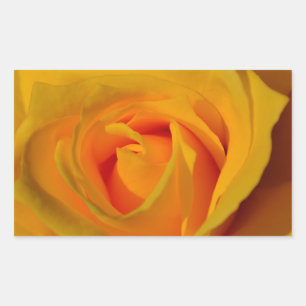 Elegante Yellow Rose foto Rechthoekige Sticker