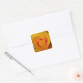 Elegante Yellow Rose foto Vierkante Sticker (Envelop)