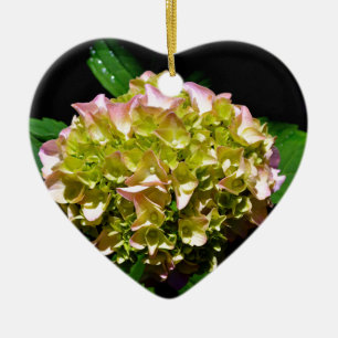 Elegante zacht groene roze groene bloemenhortensia keramisch ornament