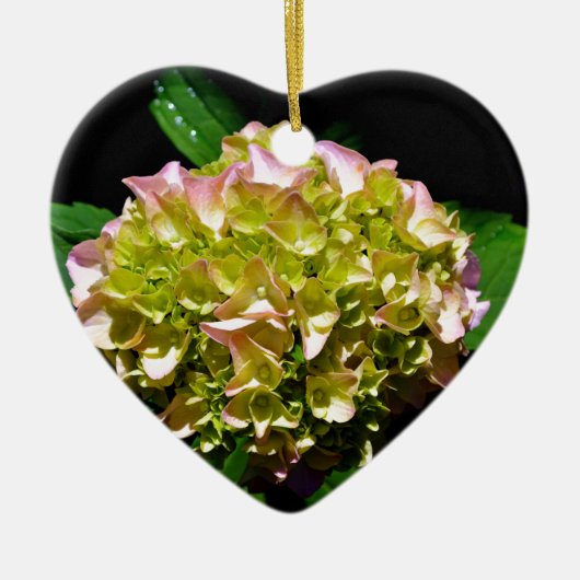 Elegante zacht groene roze groene bloemenhortensia keramisch ornament (Voorkant)