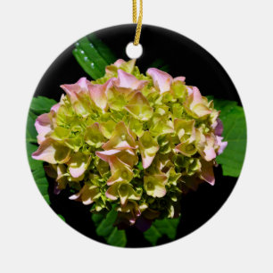 Elegante zacht groene roze groene bloemenhortensia keramisch ornament