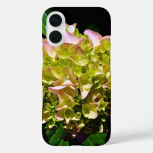 Elegante zachte groene roze bloemhortensia's iPhone 16 hoesje