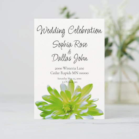 Elegante zachte lichtgroene bloemenmadeliefje brui kaart (Staand voorkant)