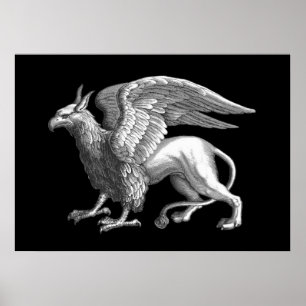 Elegante zilveren grijze/grys legendarische griffi poster