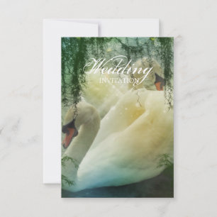 elegante zomermeer witte zwaan bruiloft kaart