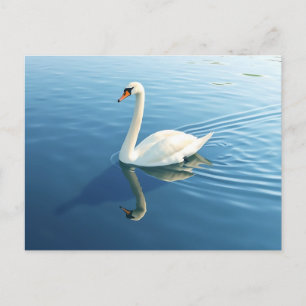 Elegante Zwaan Waterverf op een rustig meer Briefkaart