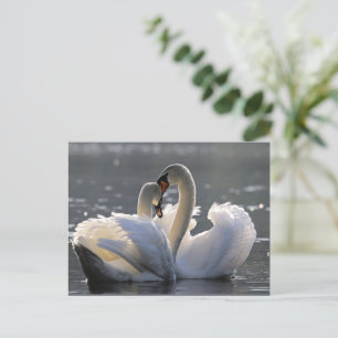 Elegante zwanen feestdagenkaart