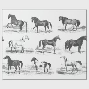 Elegante Zwart Wit Toile Paardenrassen Cadeaupapier