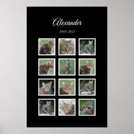 Elegante zwarte huisdierenposter met 12 fotosticke poster
