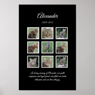 Elegante zwarte huisdierenposter met 9 fotostroken poster