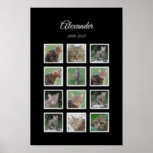 Elegante Zwarte Huisdierposter met 12 Fotosleuven