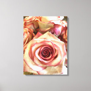 Élégantes Roses Blanches à Bordure Rose sur Toile