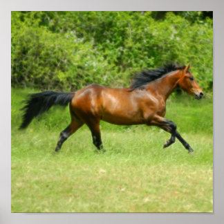 Elektrichorse Poster