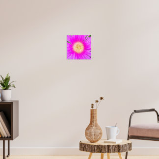 Elektrisch Roze Mediterrane IJsplant Poster