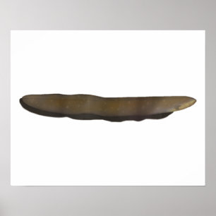 Elektrische el poster