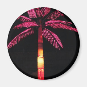 Elektrische handpalm magneet