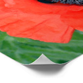 Elektrische papaver poster (Hoek)