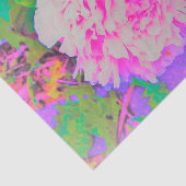 Elektrische roze pinda's in de kleurrijke tuin tissuepapier (Detail)