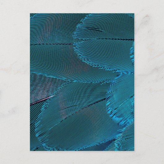 elektrische veren briefkaart (Voorkant)