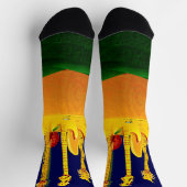 ELEKTRISCHE ZONSONDERGANG! SOKKEN (Top)