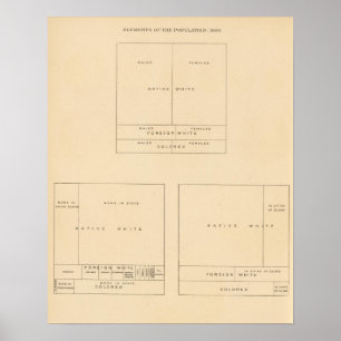 Elementen van de bevolking 1900 poster