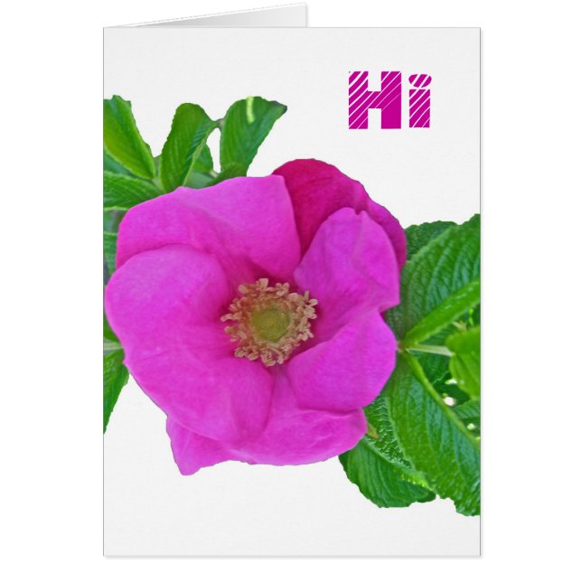 Éléments de coordination du Rose de plage rose cha (Devant)