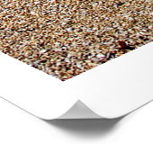 Éléments de la nature - Poster de la plage de Drif (Coin)